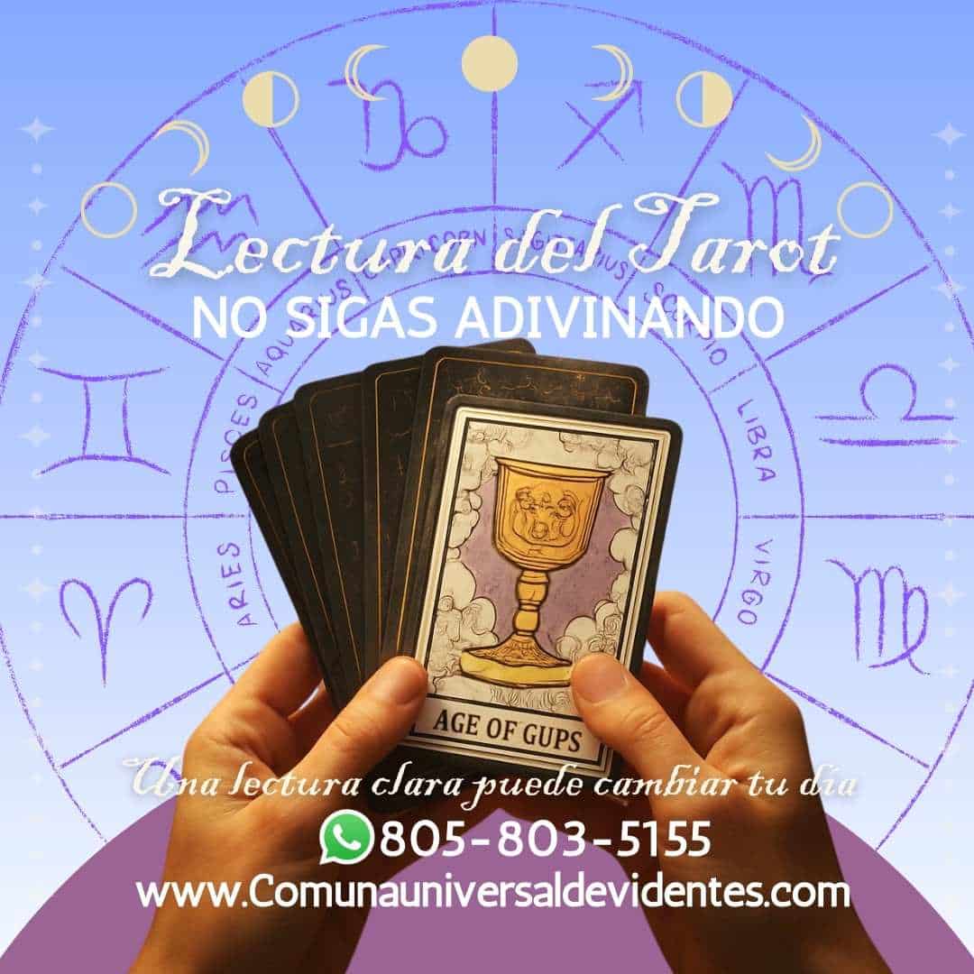 lectura-tarot-cartas-rueda-zodiacal